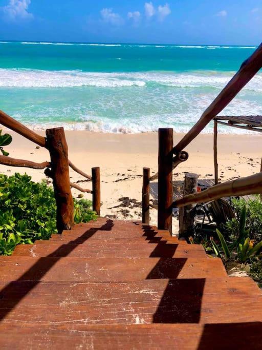 Near Beach+jungle Views. King Bed+220 Megs+2 Bikes Apartment *