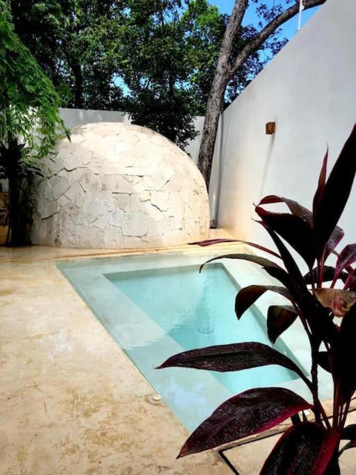 Apartment Near Beach+jungle Views. King Bed+220 Megs+2 Bikes *