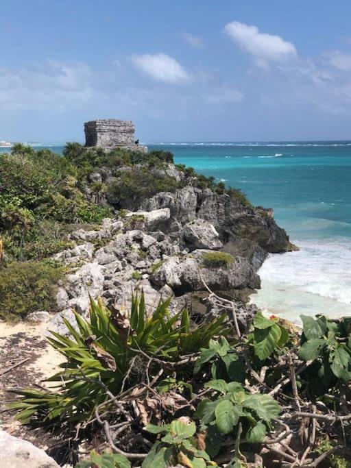 Near Beach+jungle Views. King Bed+220 Megs+2 Bikes Tulum
