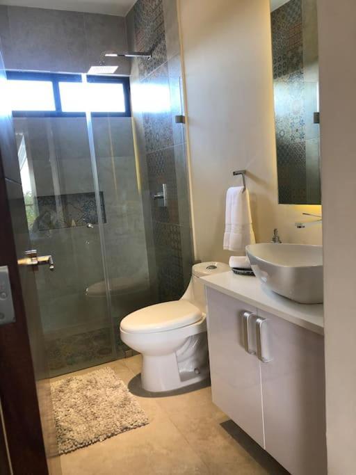 Apartment Near Beach+jungle Views. King Bed+220 Megs+2 Bikes *
