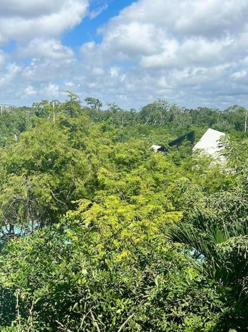 Apartment Near Beach+jungle Views. King Bed+220 Megs+2 Bikes *