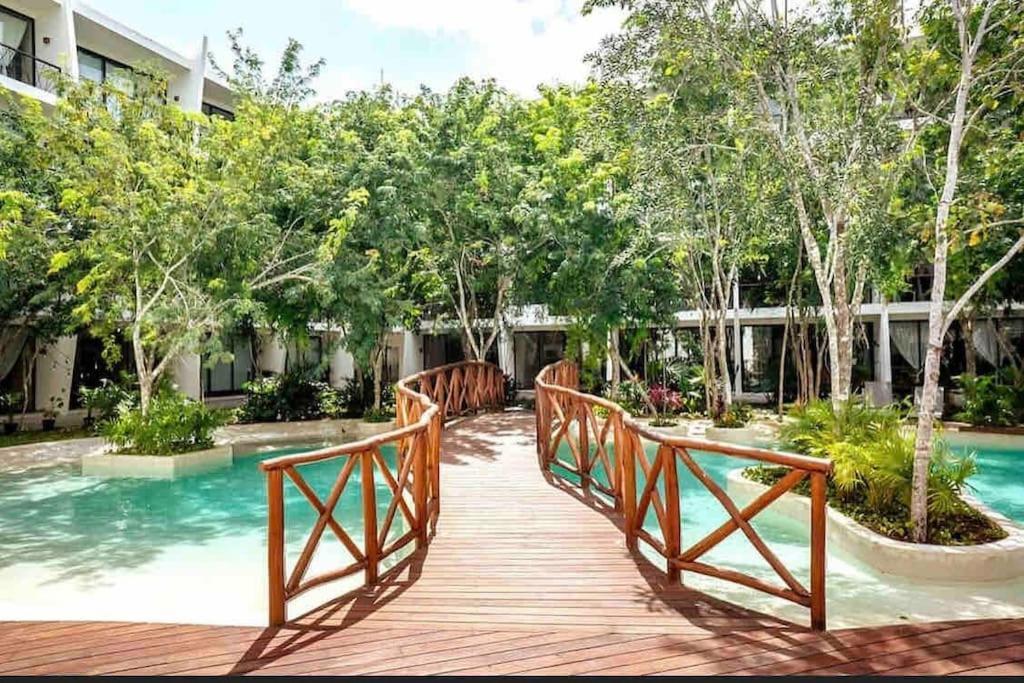Apartment Near Beach+jungle Views. King Bed+220 Megs+2 Bikes